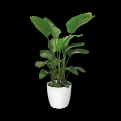 ohgreen Ecocheques|Potten En Vazen|Rond wielen 47cm