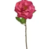 ohgreen Sfeermakers|Roos beauty 45 cm