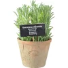 ohgreen Sfeermakers|Ecocheques|Rosemarijn in at pot l