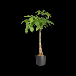 ohgreen Ecocheques|Potten En Vazen|SOFT ROND 35CM ANTRACIET