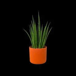 ohgreen Ecocheques|Potten En Vazen|SOFT ROND 14CM BRIQUE