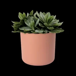 ohgreen Ecocheques|Potten En Vazen|SOFT ROND 16CM DELICAAT ROZE