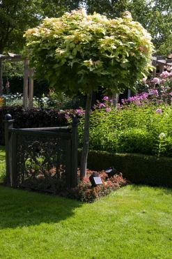 ohgreen Verlichting|Ecocheques|Spot Lazise Solar