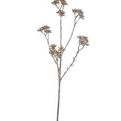 ohgreen Kerstdecoratie|Steranjs 62cm champagne