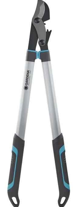 ohgreen Maak Je Tuin Lenteklaar|Handgereedschap|TAKKENSCHAAR ENERGYCUT 750 B