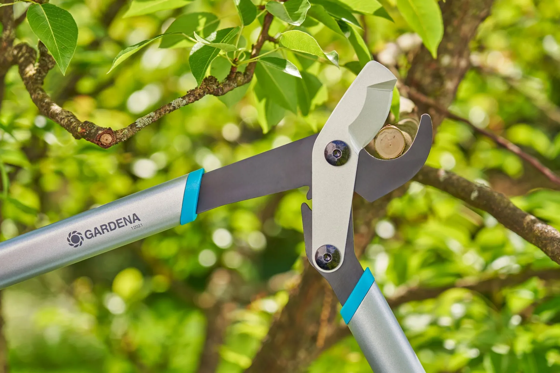 ohgreen Ecocheques|Handgereedschap|Takkenschaar EnergyCut Basic