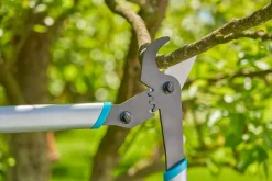 ohgreen Ecocheques|Handgereedschap|Takkenschaar EnergyCut Basic