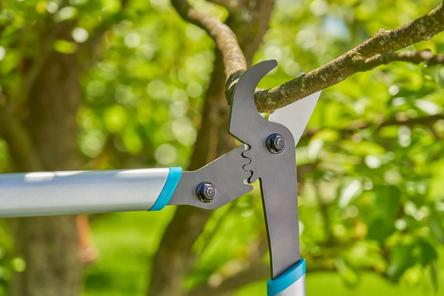 ohgreen Ecocheques|Handgereedschap|Takkenschaar EnergyCut Basic