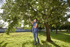 ohgreen Maak Je Tuin Lenteklaar|Handgereedschap|Takkenschaar StarCut 160 plus