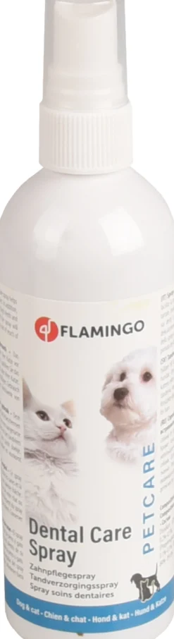 ohgreen Verzorging|Tandverzorgingsspray munt -  spray