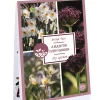 ohgreen Ecocheques|Bloembollen|Tas 'a bulb for every garden' met 35 bloembollen dry garden