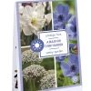 ohgreen Ecocheques|Bloembollen|Tas 'a bulb for every garden' met 35 bloembollen sunny garden