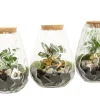 ohgreen Composities En Terrariums|Ecocheques|Terrarium arrangement