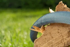 ohgreen Bewatering|Ecocheques|Textielslang Liano Xtreme 15m Set