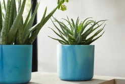 ohgreen Potten En Vazen|Ecocheques|The Ocean Collection 18cm Atlantic blue