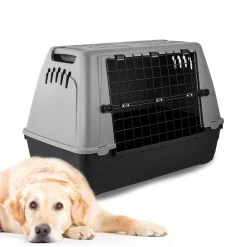 ohgreen Hals-En Leibanden|Transportbox auto baron 80