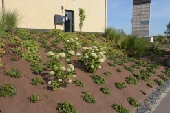 ohgreen Worteldoek|Maak Je Tuin Lenteklaar|Tuindoek gold 1,15x10m 125g/m²