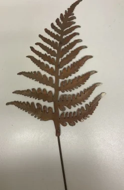 ohgreen Decoratie|Tuinsteker varens ecoroest