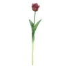 ohgreen Sfeermakers|Tulipa