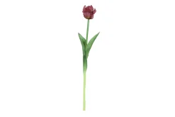 ohgreen Sfeermakers|Tulipa