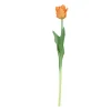 ohgreen Sfeermakers|Tulipa