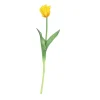 ohgreen Sfeermakers|Tulipa