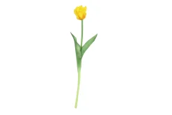 ohgreen Sfeermakers|Tulipa