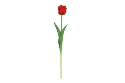ohgreen Sfeermakers|Tulipa