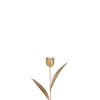 ohgreen Sfeermakers|Tulp metaal goud s (8x4x30cm)