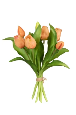 ohgreen Sfeermakers|Tulpenbundel zalm