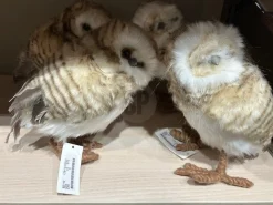 ohgreen Kerstdecoratie|Uil