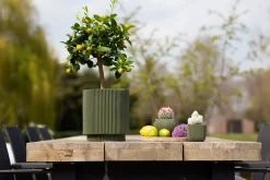 ohgreen Potten En Vazen|Vaas cilind groove 19x21