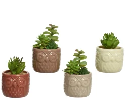 ohgreen Sfeermakers|Vetplant 12cm groen