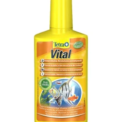 ohgreen Techniek|Vital