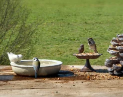 ohgreen Verkoeling Voor Je Dier|Voederhuisjes En Aanverwanten|Vogelbad