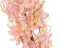 ohgreen Sfeermakers|Vossenstaart