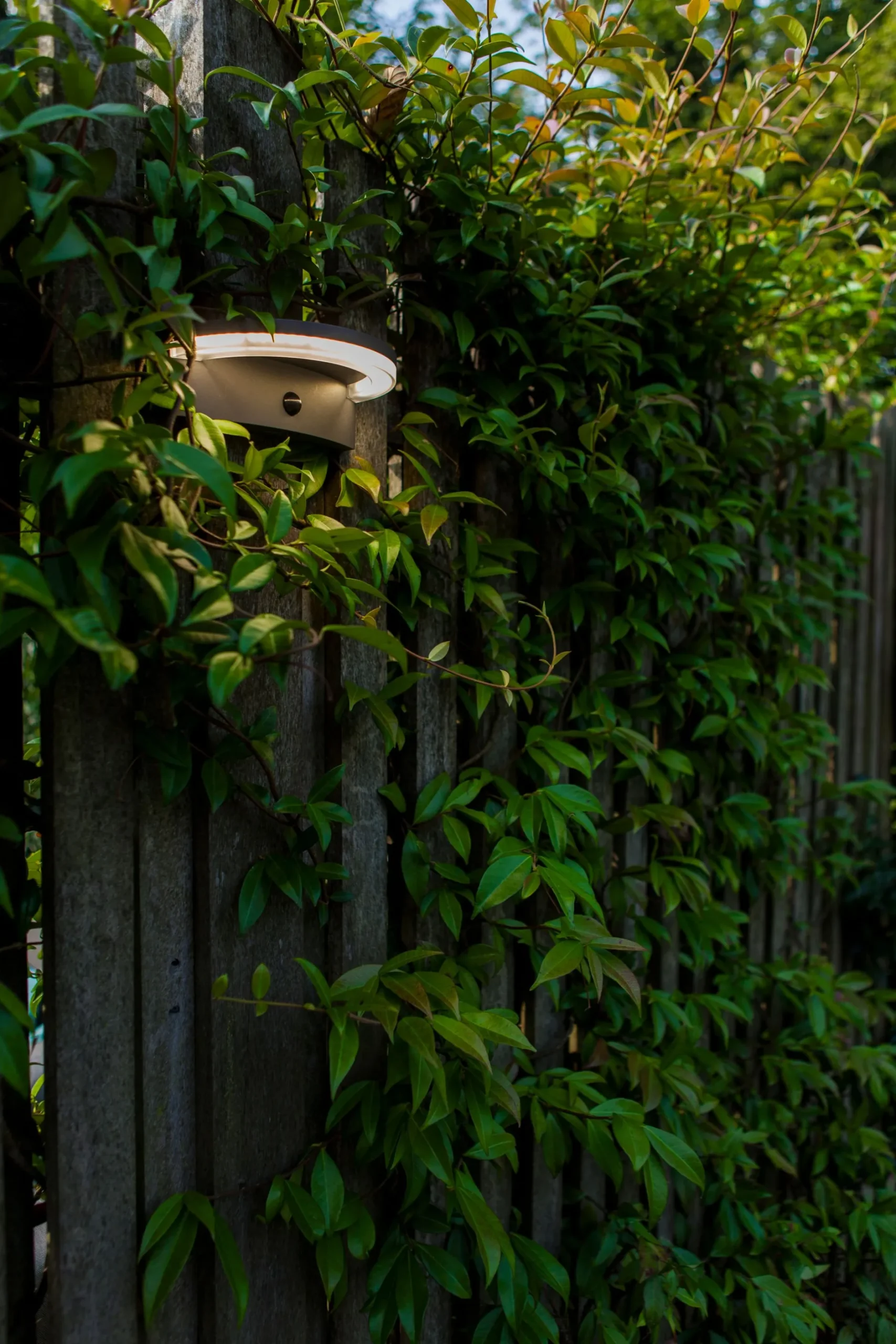 ohgreen Verlichting|Ecocheques|Vyzor solar wandlamp