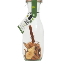 ohgreen Apéro Moment|Drank|Water twist appel peer karaf