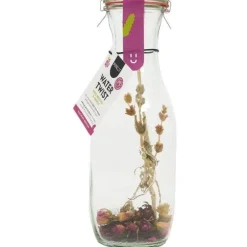 ohgreen Apéro Moment|Drank|Water twist roos bergthee karaf