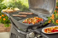 ohgreen Accessoires En Onderhoud|WEBER BAKPLAAT Q 3000 SERIES