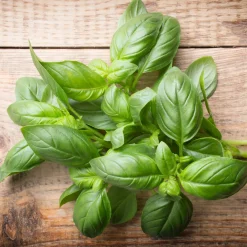 ohgreen Zaden|Ecocheques|Zaden: basilicum grote groene