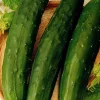 ohgreen Zaden|Ecocheques|Zaden: komkommer vert long maraicher