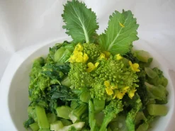 ohgreen Zaden|Ecocheques|Zaden: raapstelen cima de rapa