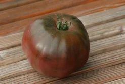 ohgreen Zaden|Ecocheques|Zaden: tomaat noire russe charboneuse