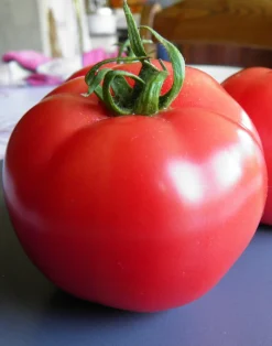 ohgreen Zaden|Ecocheques|Zaden: tomaat rose de berne
