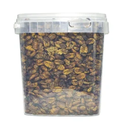 ohgreen Voeding|Zijderupsen 10 mm. 2,5 liter
